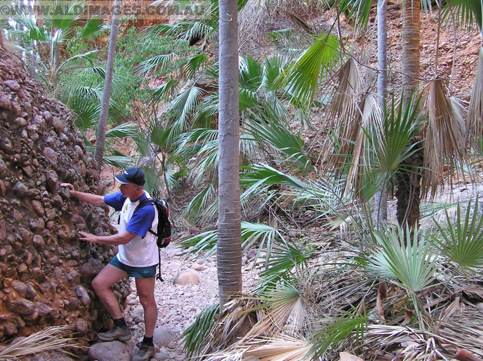 678x501 pixels (337K)